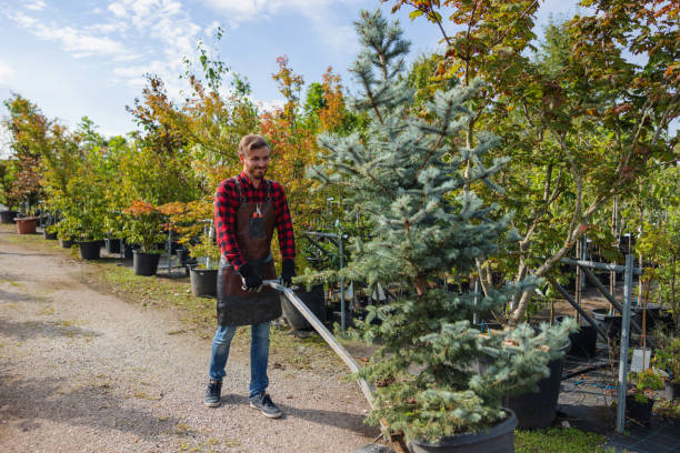 Best Fruit Tree Pruning  in Baton Rouge, LA